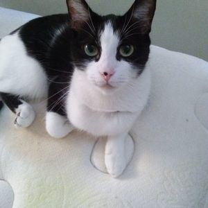 Meet your Posher, Anna